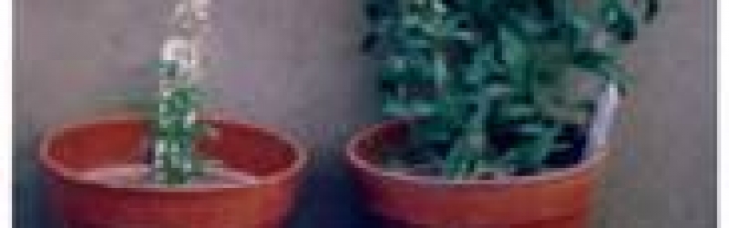UNETrialphoto
